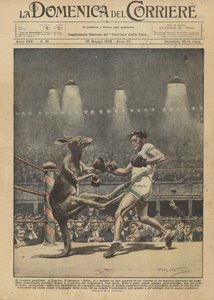 The boxing kangaroo by Achille Beltrame
