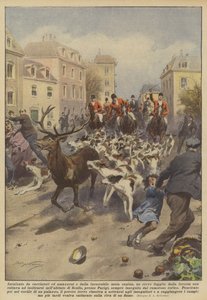 Chased by Hunters and Amazons and the Inexorable Pack of Hounds, a Deer Escaped from...