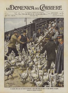 The Meat Shortage in Germany, Arrival from Russia of Millions of Geese Destined for the People