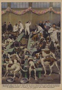 The Dog Festival by Achille Beltrame