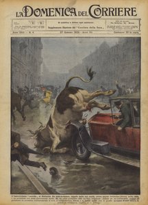 The improvised bullfight in Budapest
