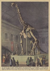 The skeleton of the largest land animal that ever existed, the brachiosaurus