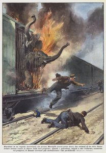 Locked in a Railway Carriage That Caught Fire Near Marseille, Two Elephants by Achille Beltrame
