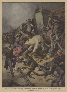 Sensational Train Collision, Escape of Wild Beasts, Especially Reptiles