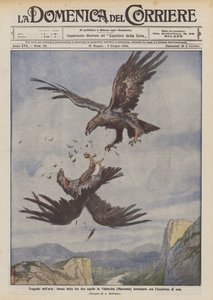 Air Tragedies, Fierce Fight Between Two Eagles in Valnerina (Macerata) Ending with the Killing of One by Achille Beltrame