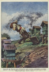 Killed by Bees