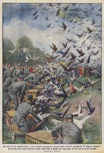 A Sky of Wings by Achille Beltrame