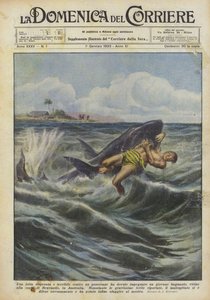 A Desperate and Terrible Struggle Against a Shark Was Fought by a Young Swimmer...