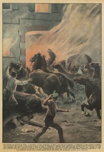 A Massacre of Racehorses
