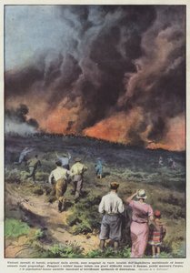 Violent Forest Fires Caused by Drought in Various Locations by Achille Beltrame