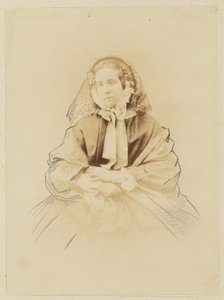 Half-length Portrait of a Lady