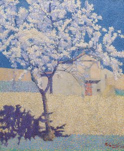 The Flowering Tree