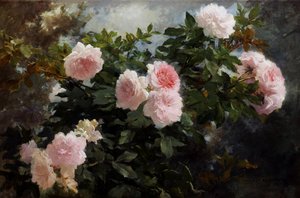 Still life of roses