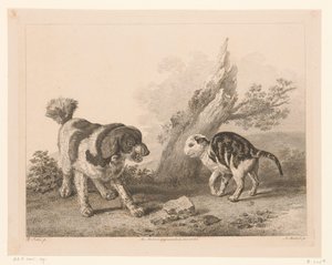 Dog and cat in fighting stance facing each other