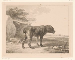 Standing Dog in a Landscape (Animals after Paintings by Dutch Masters)