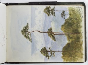Sketchbook of watercolours, Drawings and Notes, Mexico, 1896-1898