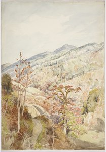 Wooded valley- Cuetzalan, Puebla, Gulf of Mexico