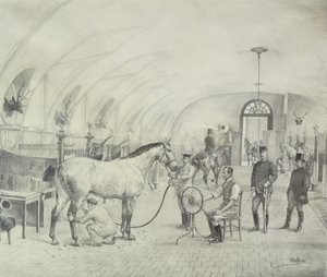 The Royal Stables: morning grooming