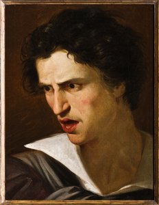 Portrait of a Man or The Mad Man