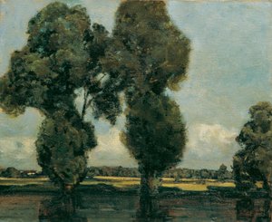 Silver Poplars