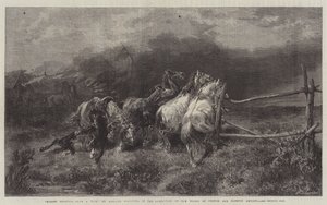 Horses Escaping from a Fire by Adolf Schreyer