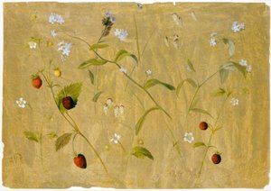 Strawberries and Forget-Me-Nots