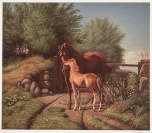 A Mare with Her Foal