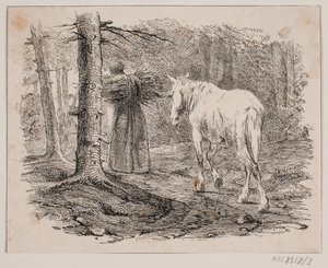 The Woman and the Horse