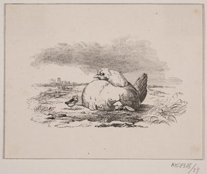 The Chicks by Johan Adolph Kittendorff