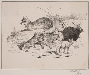 The Fox