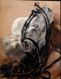 Horse Study. Head Lying, in Harness by Adolph Menzel