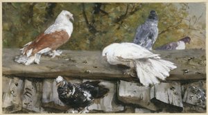 Pigeons on a Wooden Roof. From the "Children