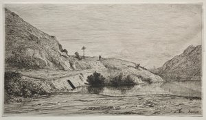 Banks of the Rhone