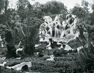 Roaring River Falls, Jamaica by Adolphe Duperly and Son