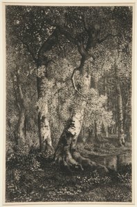 The Beeches by Adolphe Martial Potemont