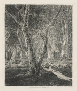 Bois de Pierrefonds
