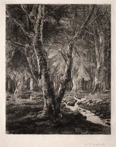 Forest of Pierrefonds