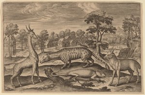 A Giraffe, a Chameleon, a Civet and an Antelope
