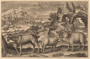 A Goat, a Ewe, and a Ram