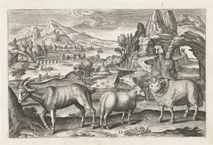 Goat and Sheep (Four-Legged Animals)