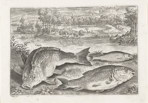 Three Carps on a Bank (Fishes)
