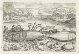 A Fish and Some Shellfish on the Beach by Adriaen Collaert