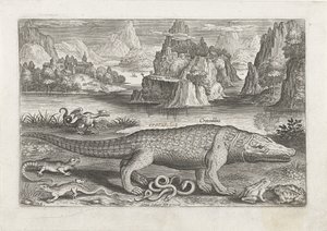 Several Reptiles and Amphibians on a Shore (Piscivm Vivae Icones) by Adriaen Collaert