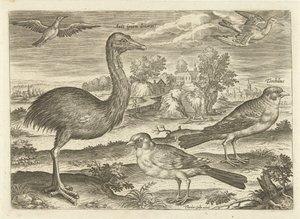 Several Birds in a Landscape (Avivm Vivae series) by Adriaen Collaert