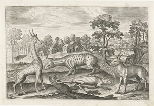 Exotic Animals