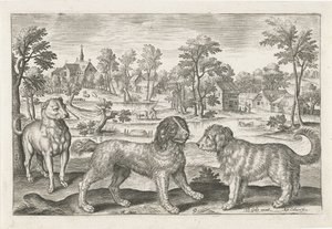 Dogs