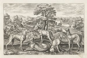 Hunting Dogs by Adriaen Collaert