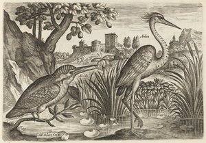 Kingfisher and Grey Heron by Adriaen Collaert