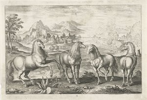 Horses (series title: Four-legged Animals, Animalivm Qvaddrvpedvm) by Adriaen Collaert