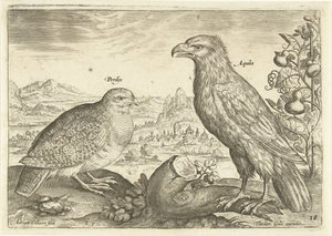Two Birds in a Landscape (Avivm Vivae / Birds series)